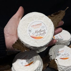 Le Mothais sur feuille